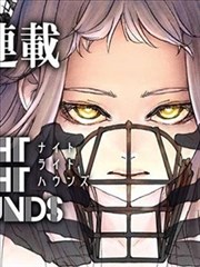 黑猫与月光少女新话